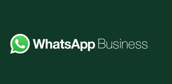 Cómo funciona WhatsApp Business